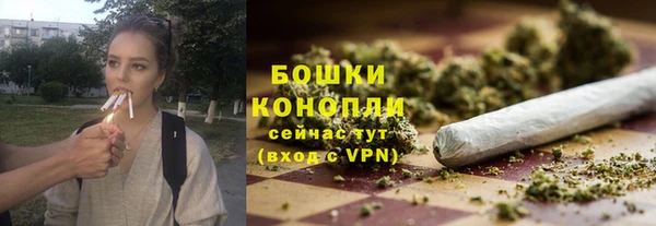 ешки Вяземский