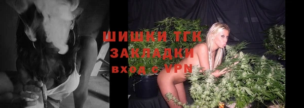 ешки Вяземский