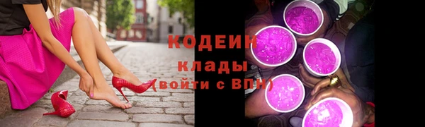 ешки Вяземский