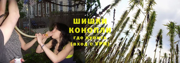 ешки Вяземский