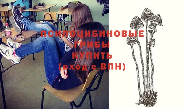 твердый Вязьма