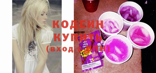 ешки Вяземский