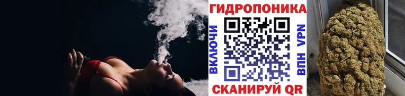 Шишки марихуана Amnesia  Купить где  Сорск 